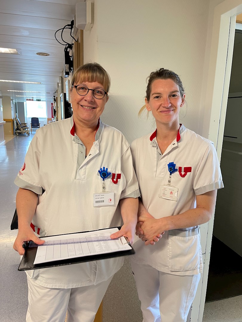 Infirmier·ère pour la Fonction Palliative